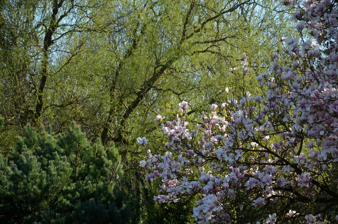 DSC_0606