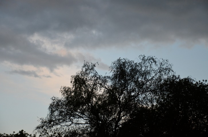 DSC_0647