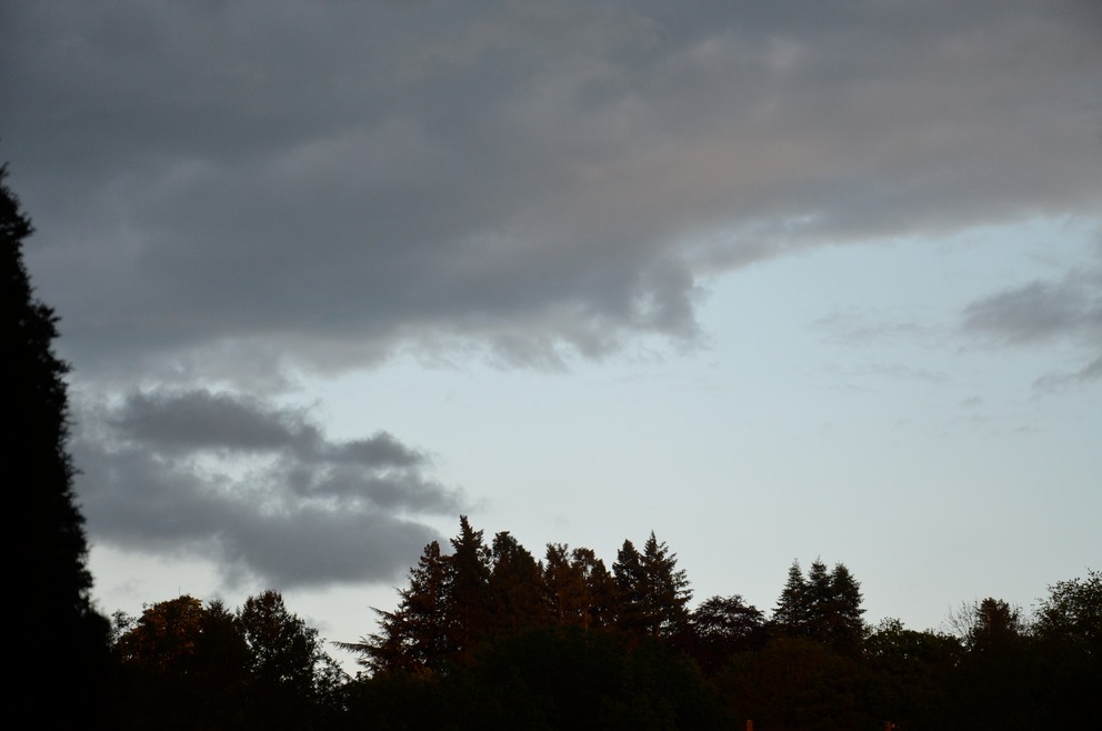 DSC_0648
