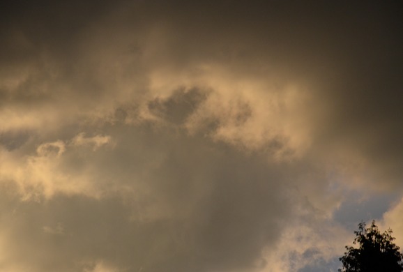 DSC_0651