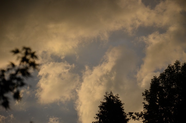 DSC_0658