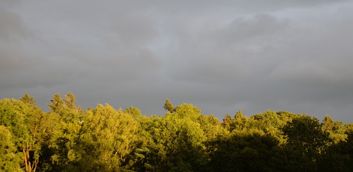 DSC_0938