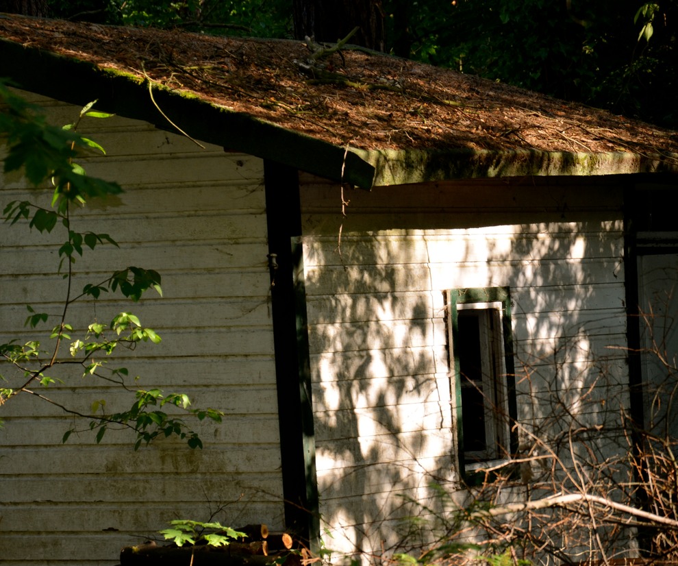 DSC_0970