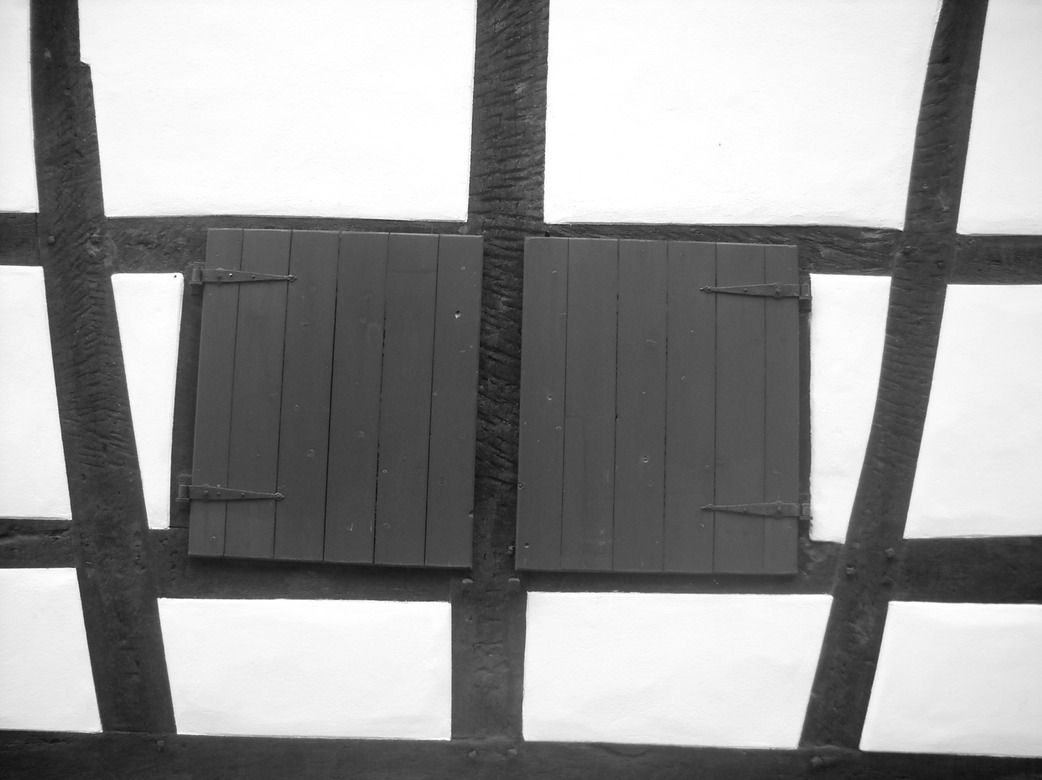 DSCN4187